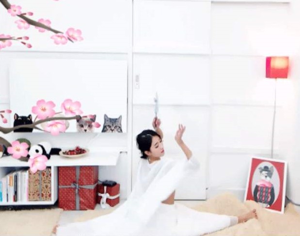 RTMP protocol_RTSP protocol_F4V Player for Windows