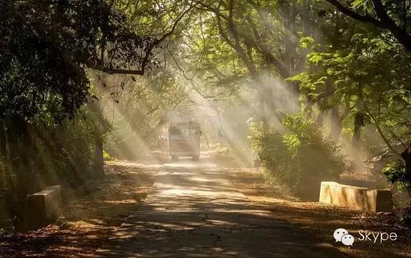 Lonely Planet 2016 Top Ten Best Cities Recommendation_Skype International Long Distance Call Cost_Skype for iPad for iOS