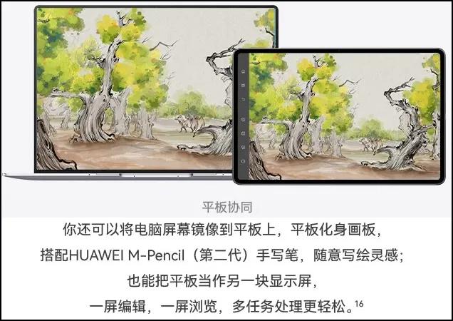 MPlayer for Mac_MacBook trackpad experience_MacBook speaker performance