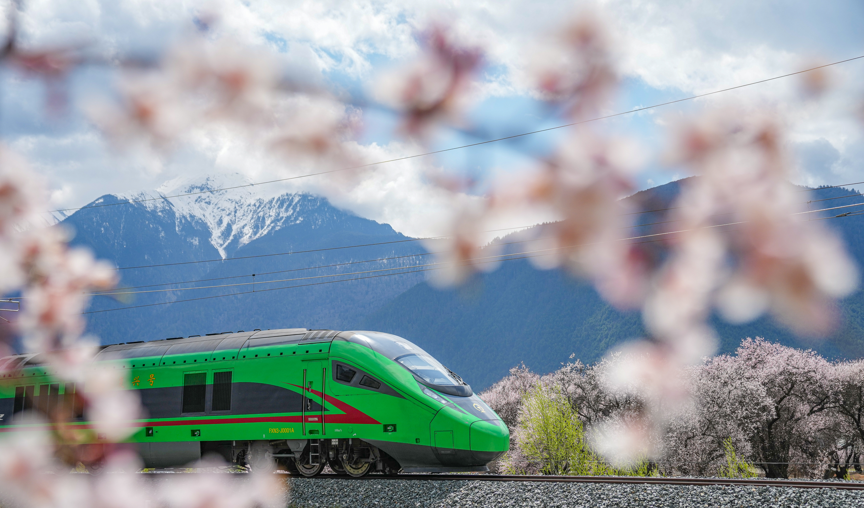 T2 Surveillance Pro APK for Android_Artificial Intelligence Large Model_High-quality Development of China's Economy