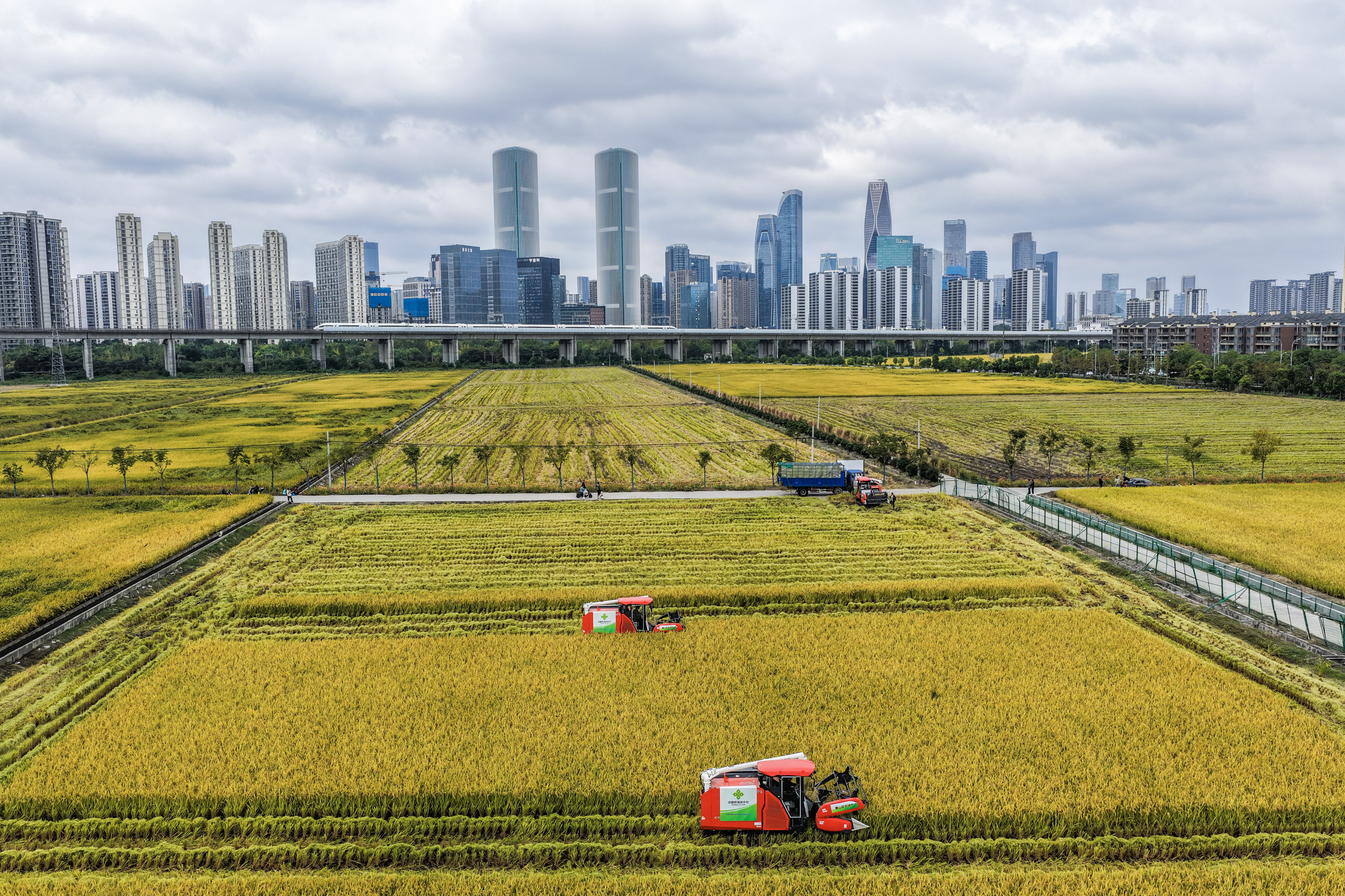 High-quality Development of China's Economy_Artificial Intelligence Large Model_T2 Surveillance Pro APK for Android