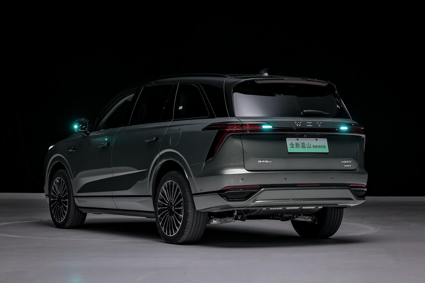 LAN drive_Great Wall Motors VLA assisted driving_New Blue Mountain intelligent advanced version CP Master