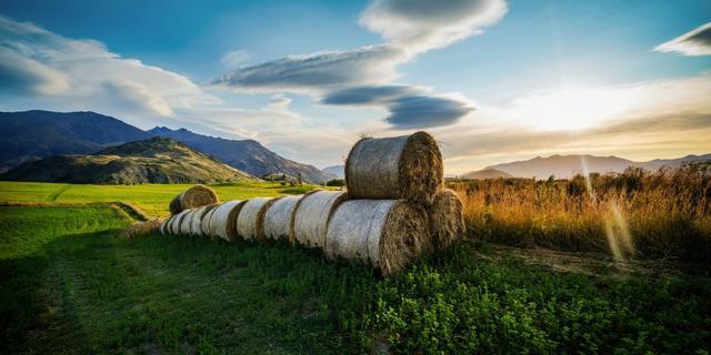 Communicating the cooperative boundaries between mother-in-law and daughter-in-law_MyTU for iOS_Financial independence and family harmony