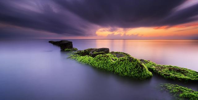 MyTU for iOS_The tug-of-war at family boundaries