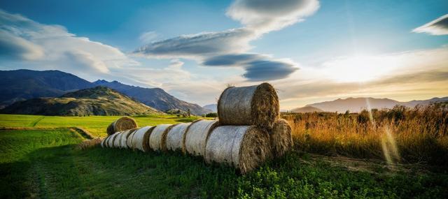 MyTU for iOS_The tug-of-war at family boundaries_Whose surname is the child