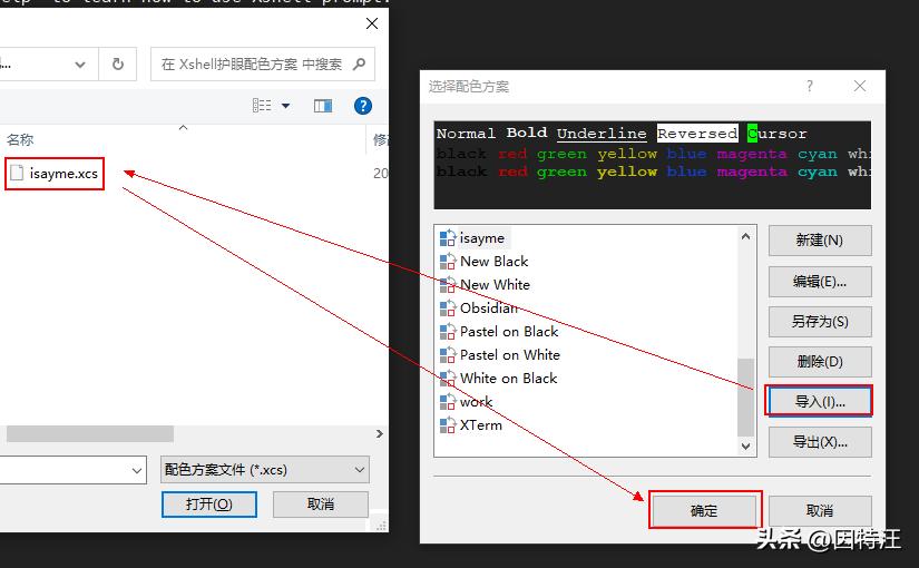 Xshell tutorial to connect the device through SSH_Shareaza for Windows_Xshell download address fill in the email
