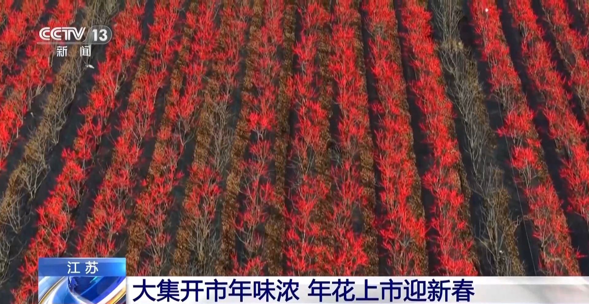 New Year's Purchase_New Year's Activities_Philips Hue Sync for iOS