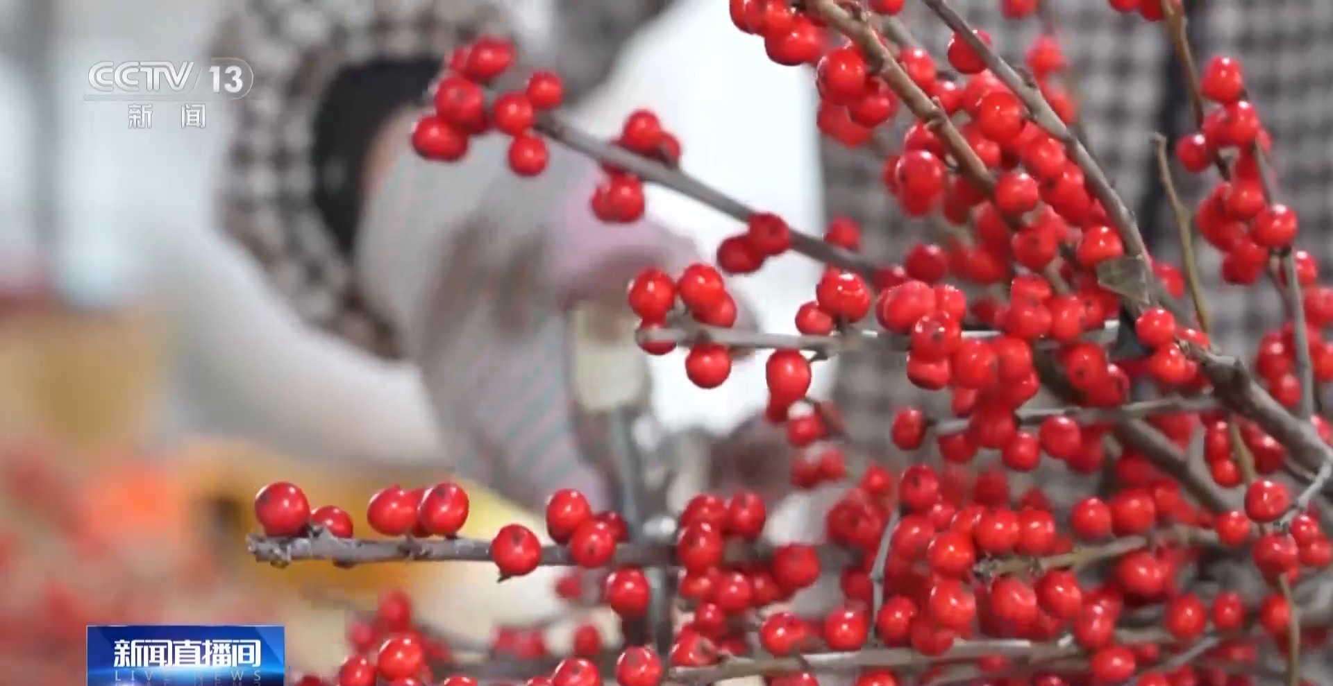 Philips Hue Sync for iOS_New Year's Purchase_New Year's Activities