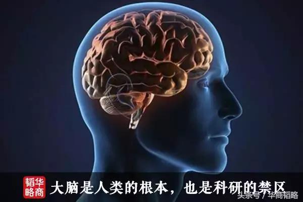 World IPTV for Android_Chen Tianqiao Shanda Innovation Institute brain science research