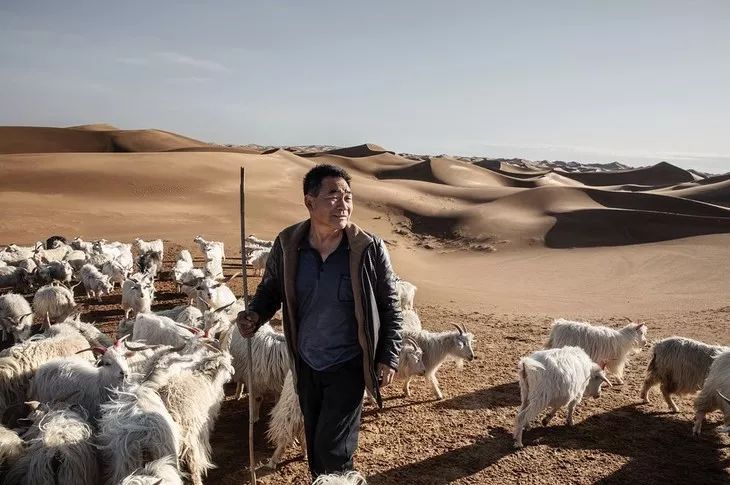 Cashmere Sweater Buying Guide_Microsoft RichCopy for Windows_Cashmere Sweater Brand Recommendation